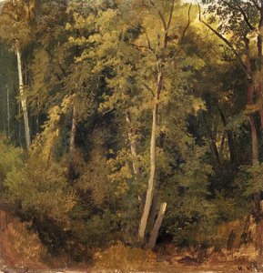 Forest Landscape — Ivan Ivanovich Shishkin, Realism