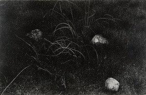 Rocks And Grasses, Wisconsin — Harry Callahan