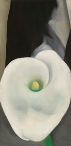 Calla Lily For Alfred — Georgia O'keeffe