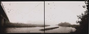 Swallows, Platte River, Nebraska — Barbara Bosworth