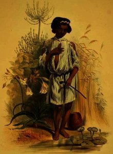 A Half Caste Kafir Boy — George French Angas
