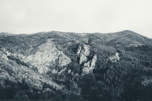 Artistic Residency - Photography - Rute Ferraz — Rute Ferraz