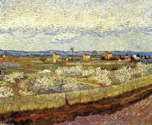 La Crau Con Perales En Flor — Vincent Willem Van Gogh