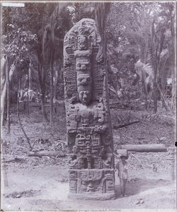 Photograph Of Quiriguá Taken By A.p. Maudslay — Alfred Percival Maudslay
