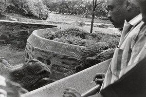 Bronx Zoo, New York — Garry Winogrand