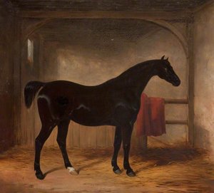 Black Horse In A Loose Box — Henry Barraud