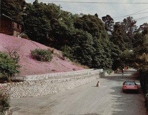 Rustic Canyon, Santa Monica, California — Joel Sternfeld