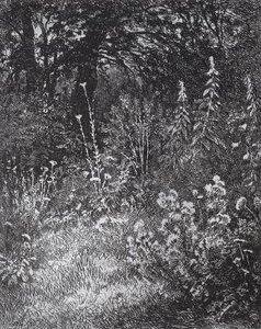 Forest Flowers — Ivan Ivanovich Shishkin