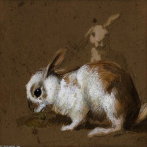 Rabbits; Blue Tit