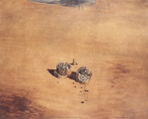 Two Pieces Of Bread Expressing The Sentiment Of Love — Salvador Dalí, Surrealism