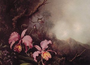 Two Orchids In A Mountain Landscape — Martin Johnson Heade