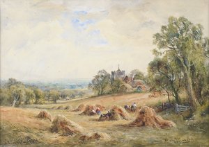 A Sussex Cornfield -