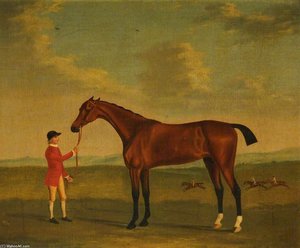 'salopian' Held By A Groom, And Beating 'jolly Bacchus' And 'gay' In The Distance — John Nost Sartorius