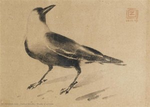 Study of a Crow