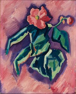 Pink Begonias — Marsden Hartley