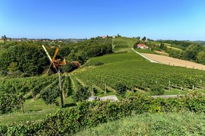 Klopotec For Scaring The Birds In Vineyards — Andrej Tarfila