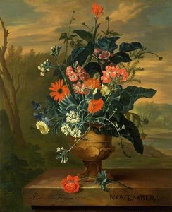 Twelve Months of Flowers November