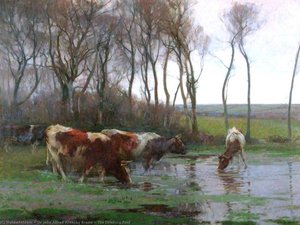 The Drinking Pool