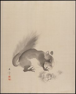 Squirrel Eating Chestnuts — Kawabata Gyokushō