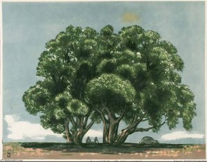 Old Willows — Louis Lozowick