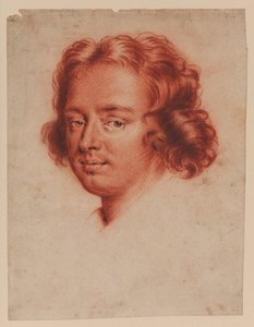 Head Of A Man — Mary Beale