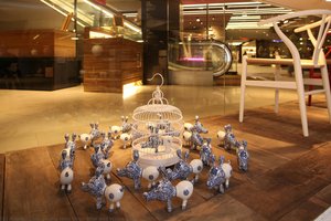 Blue and White Dog