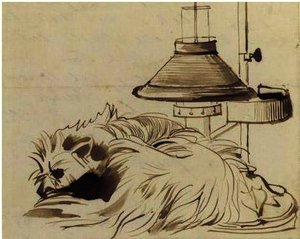 A Dog Asleep Beside A Reading Lamp — Daniel Maclise
