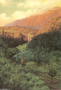 Luakaha - Evening