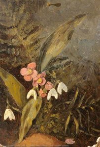 Still Life With Snowdrops, Pink Primroses And Ferns — Simon Yorke Iv