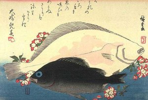 Flounder, Mebaru And Cherry Blossom — Ando Hiroshige