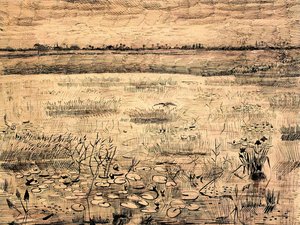 Marsh With Water Lillies — Vincent Willem Van Gogh, Post-impressionism