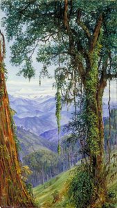 View From Rungaroon Near Darjeeling, India — Marianne North, Victorian Naturalism