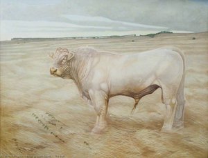 The Bull