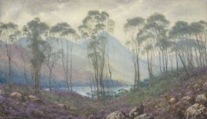 A Scottish Landscape