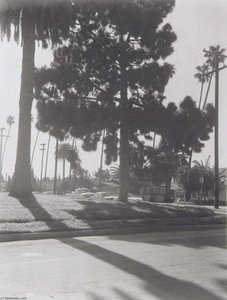 Grandview Avenue Augelus Venice (la15) — Madoka Takagi