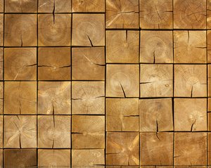 Serpentine Gallery Pavilion 2008, Hyde Park, London: detail of a structural wall showing timber section