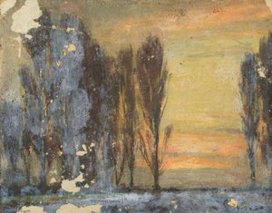 Sunset with Poplar Trees