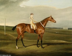 Mr. Poole's Tawny With Jockey Up