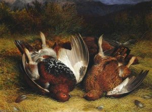 Three Red Grouse