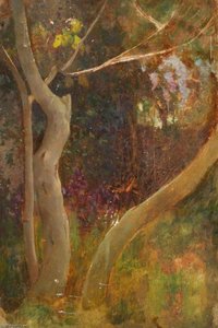 A Tree In Woodland — Benjamin Haughton