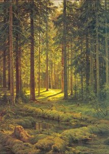 Coniferous Forest. Sunny Day — Ivan Ivanovich Shishkin, Romanticism