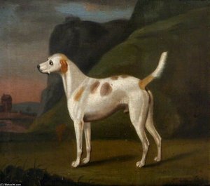 White Hound With Brown Spots