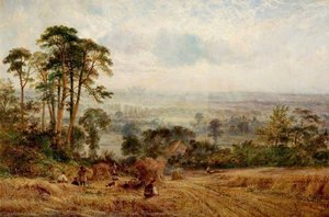 Cornfields, Wollaton Hall, Nottingham