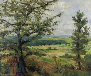 Summer landscape