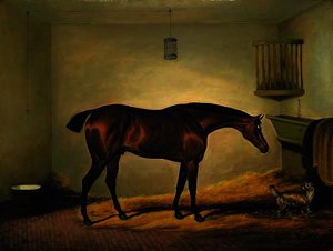 President, a bay hunter with a dog in a stable