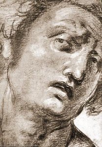 Study For The Head — Raphael