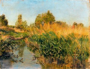 Veyrier Marshes — Ferdinand Hodler