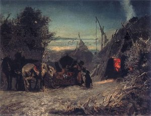 Morning in the Forest