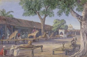 Straßen Der Jagd-cheetahs Und -löwen. Ulwar. Indien 1878 — Marianne North, Academic Realism
