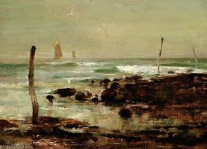 Seagulls On The Coast